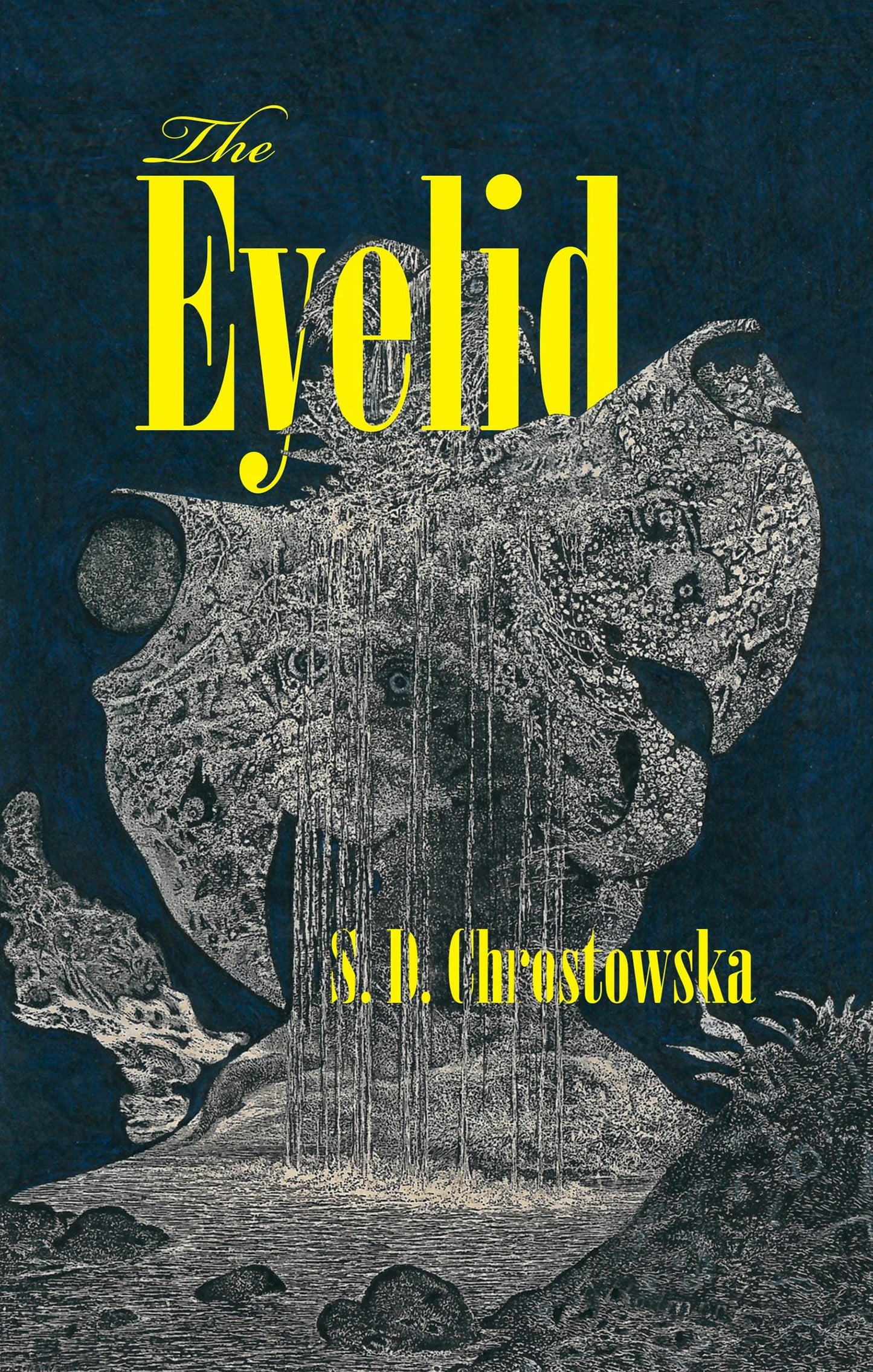 Book cover image for The Eyelid ISBN: 9781552454084