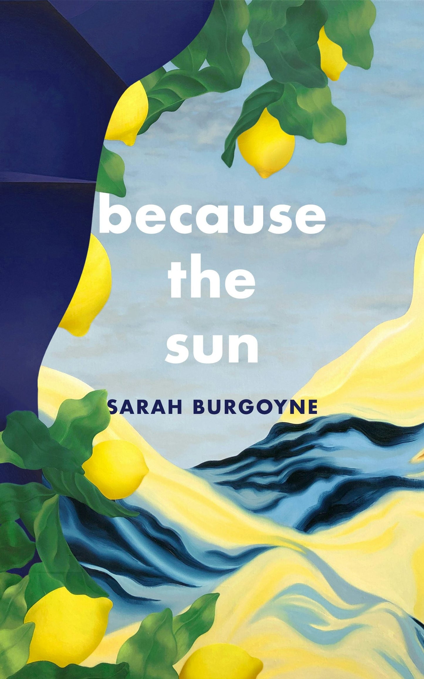 Book cover image for Because the Sun ISBN: 9781552454237