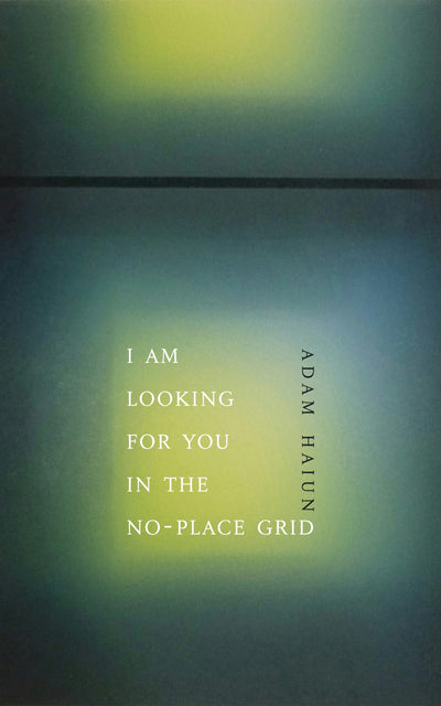 Cover image for I Am Looking for You in the No-Place Grid, isbn: 9781552454961