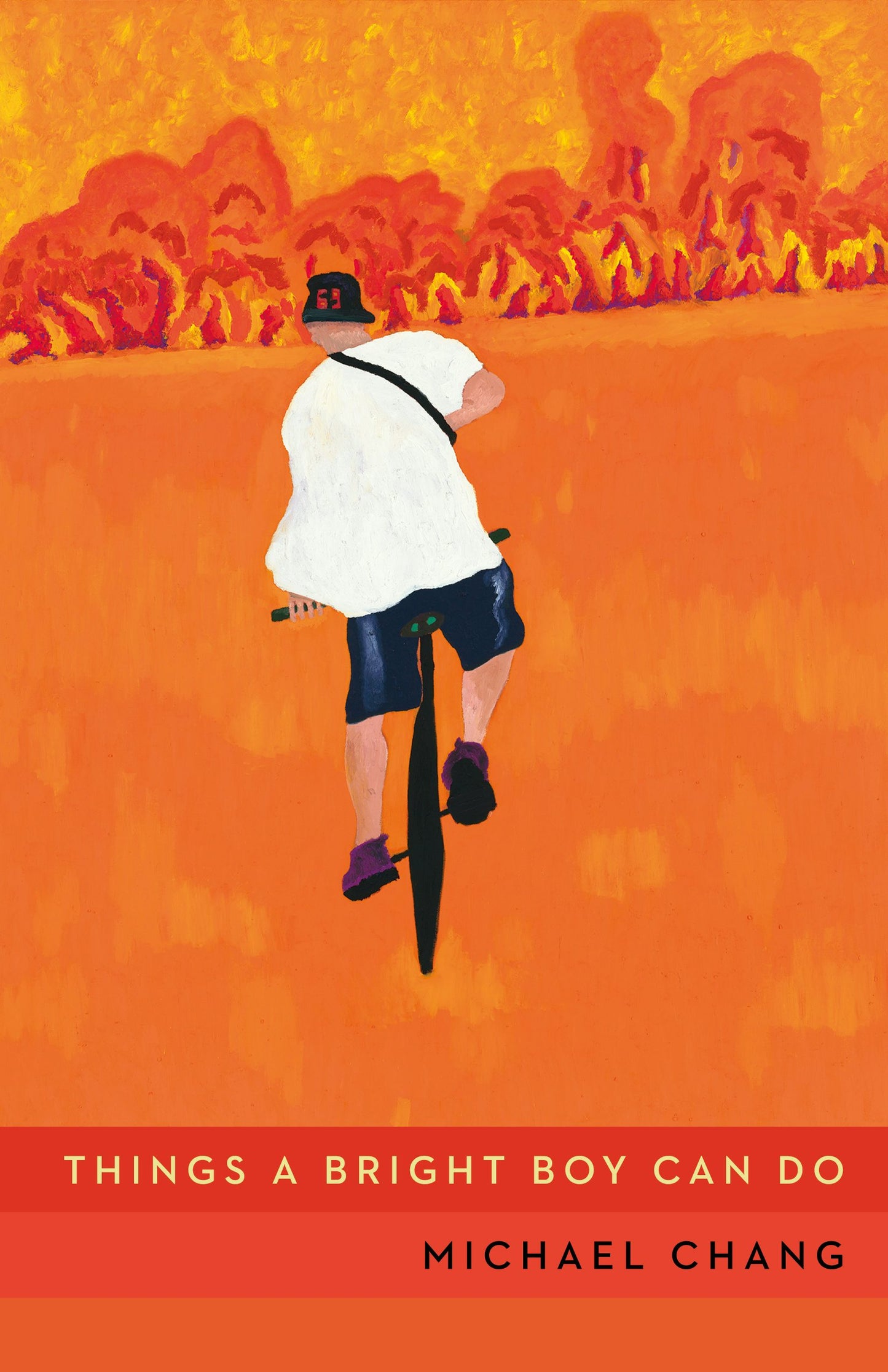 Book cover image for Things a Bright Boy Can Do ISBN: 9781552454978