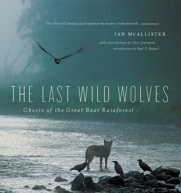 Cover image for The Last Wild Wolves, isbn: 9781553654520