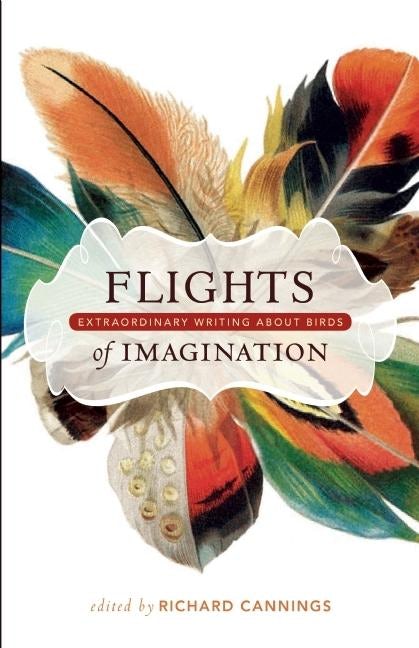 Cover image for Flights of Imagination, isbn: 9781553655350
