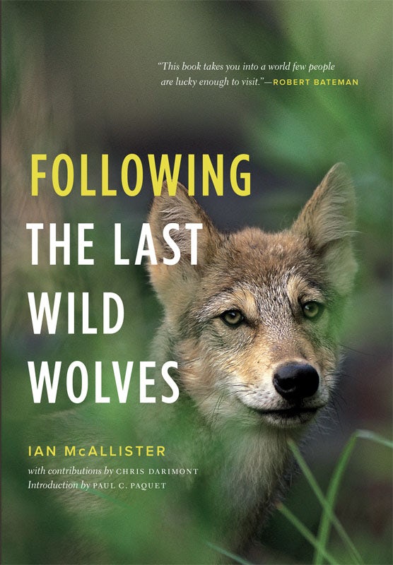 Book cover image for Following the Last Wild Wolves ISBN: 9781553655879