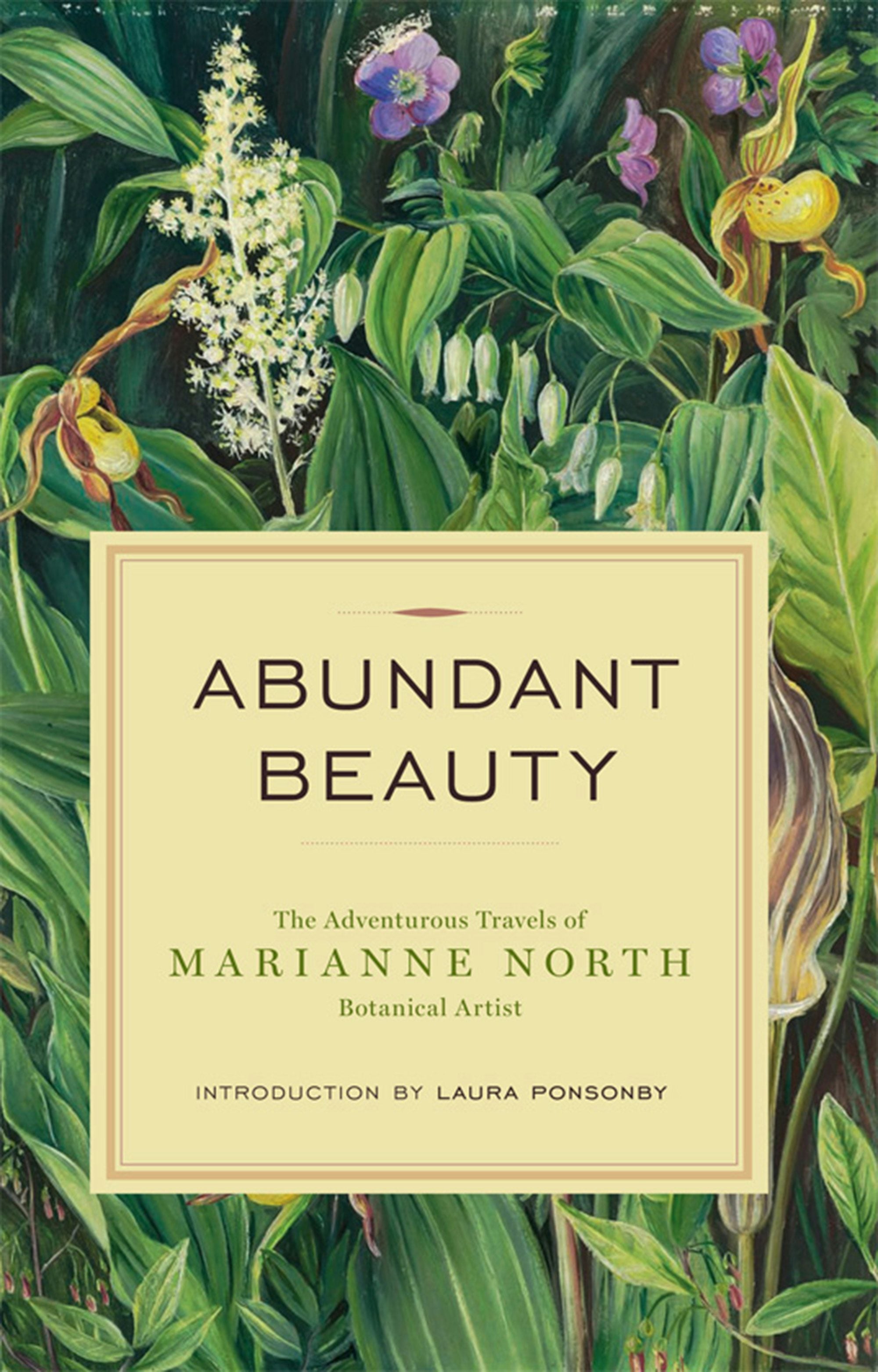 Book cover image for Abundant Beauty ISBN: 9781553656265
