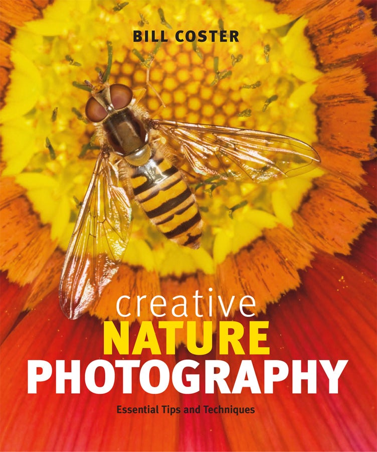 Book cover image for Creative Nature Photography ISBN: 9781553658474