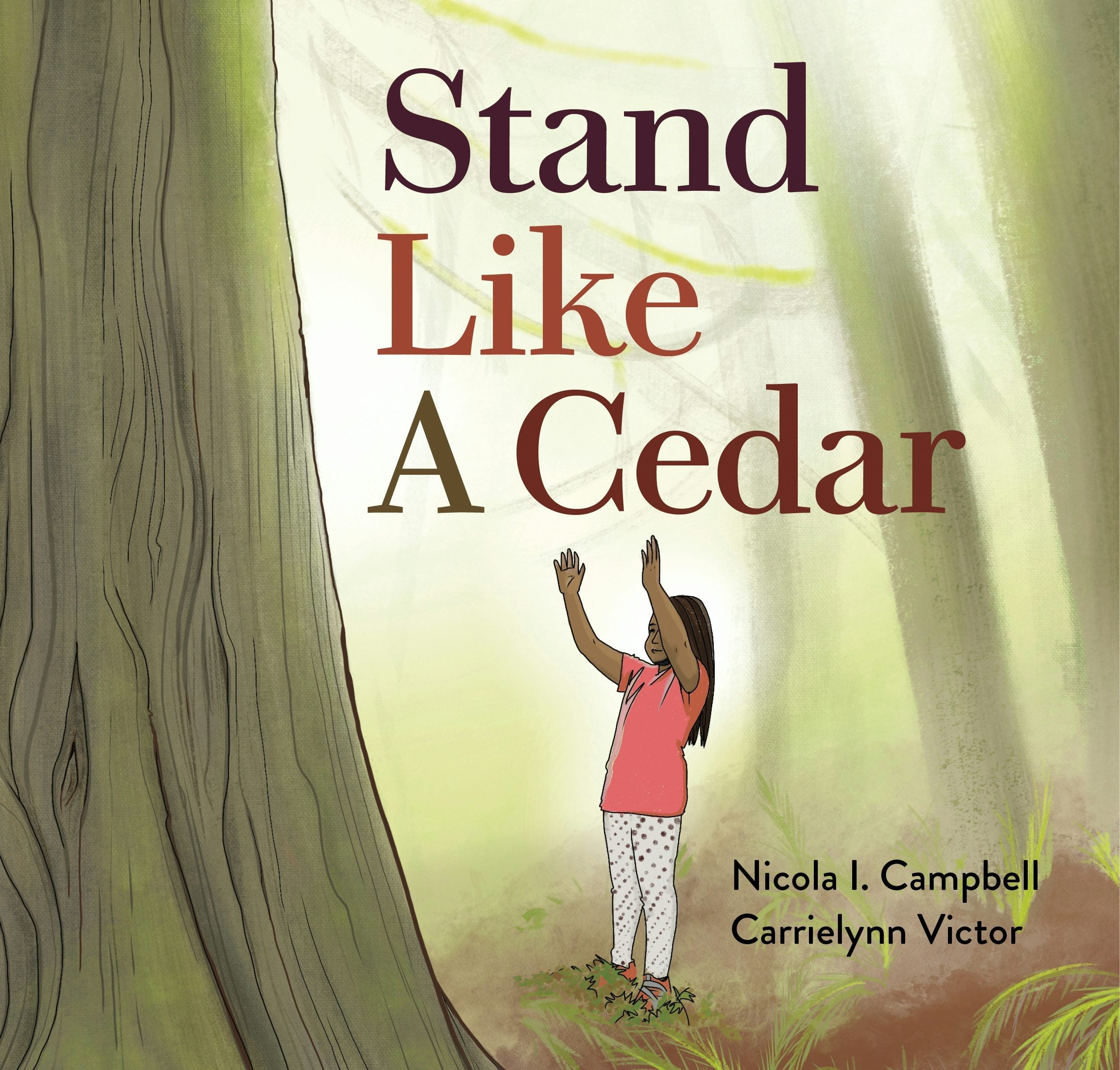 Book cover image for Stand Like a Cedar ISBN: 9781553799221