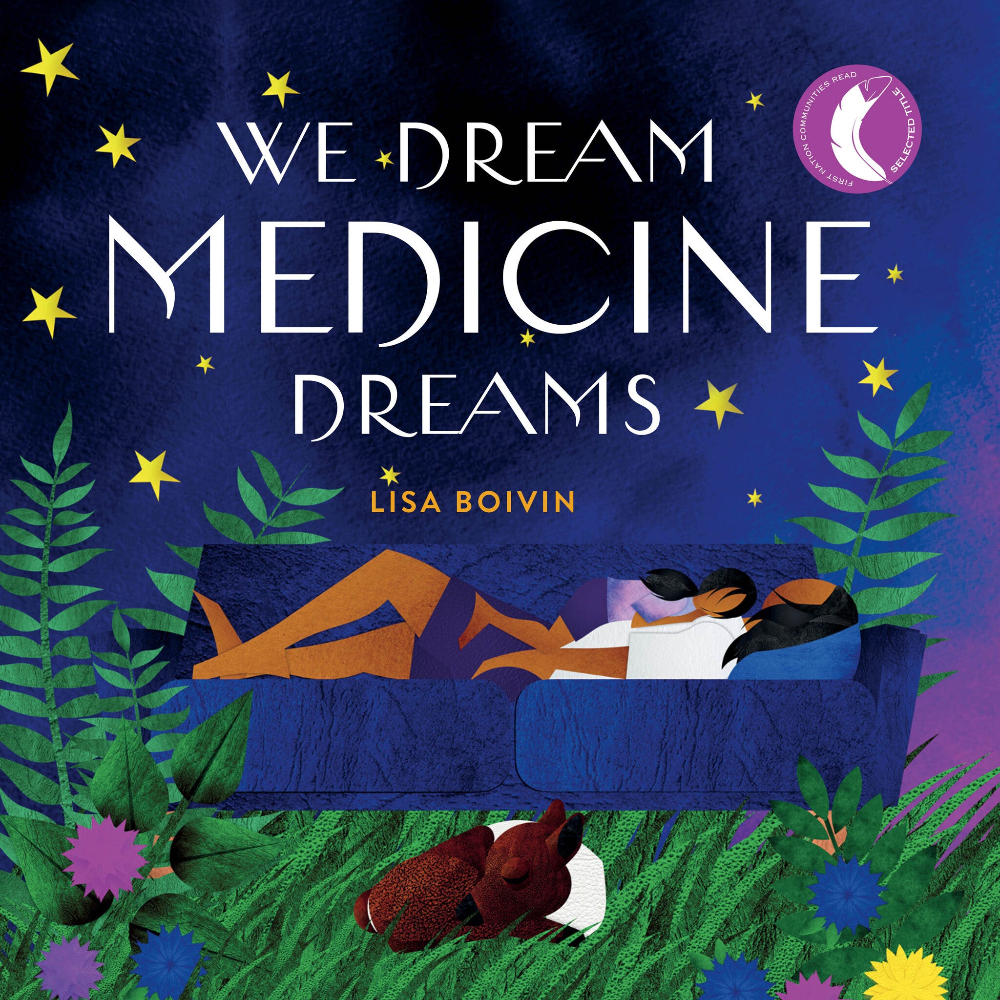 Cover image for We Dream Medicine Dreams ISBN 9781553799870