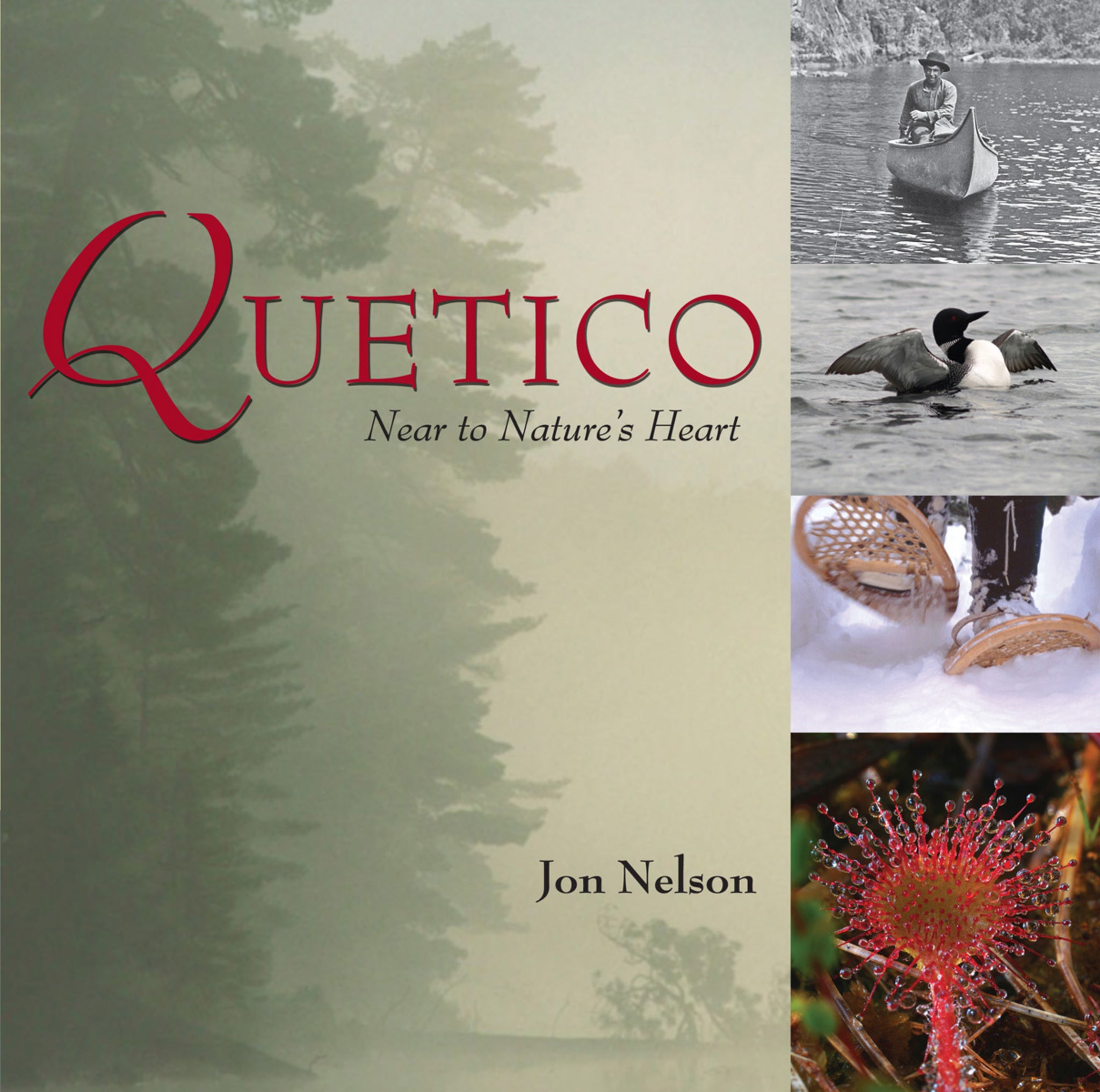 Cover image for Quetico ISBN 9781554883967