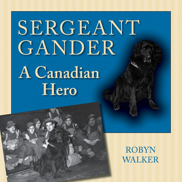 Cover image for Sergeant Gander, isbn: 9781554884636