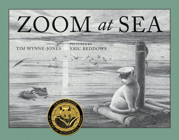 Cover image for Zoom at Sea, isbn: 9781554983919