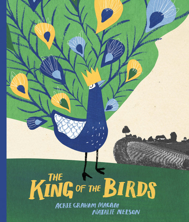 Cover image for The King of the Birds, isbn: 9781554988518
