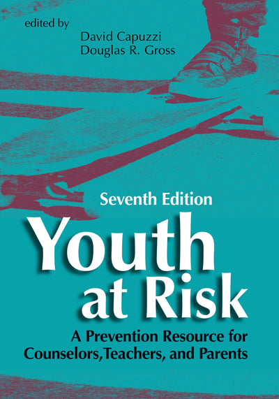 Cover image for Youth at Risk, isbn: 9781556203848