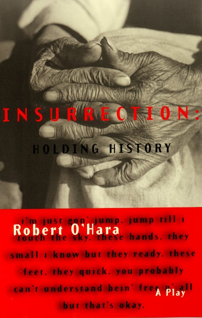 Book cover image for Insurrection: Holding History ISBN: 9781559361576