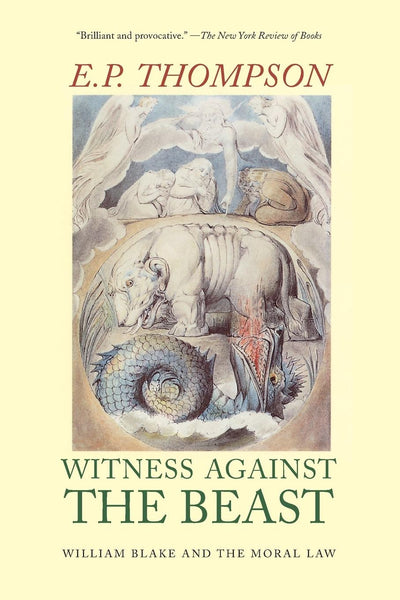 Cover image for Witness Against the Beast, isbn: 9781565840997
