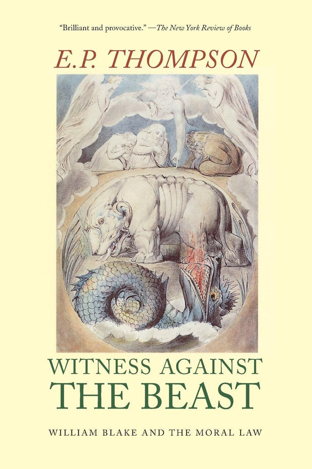 Cover image for Witness Against the Beast, isbn: 9781565840997