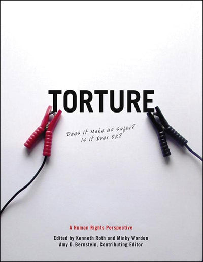 Cover image for Torture, isbn: 9781565849716
