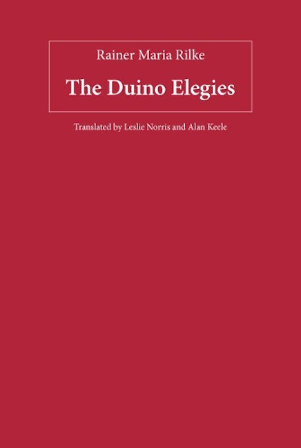 Book cover image for The Duino Elegies ISBN: 9781571133915