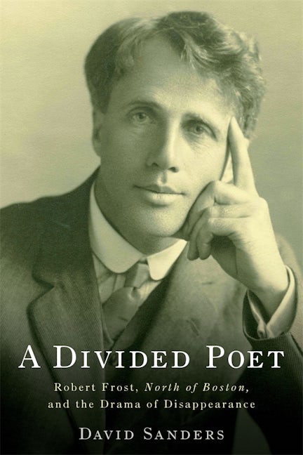 Book cover image for A Divided Poet ISBN: 9781571134998