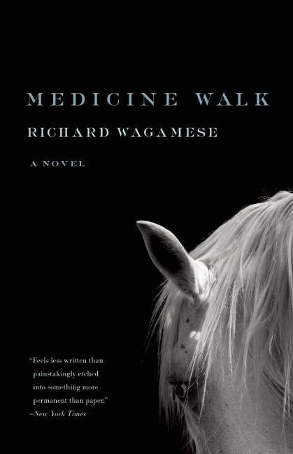 Book cover image for Medicine Walk ISBN: 9781571311160