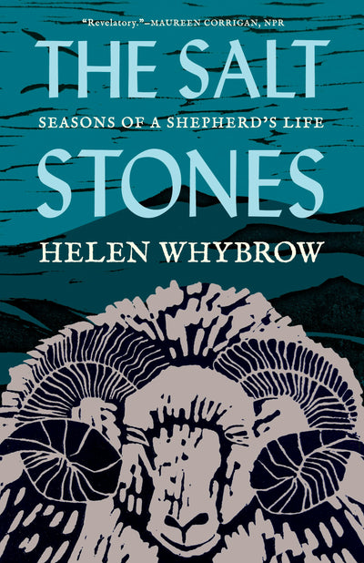 Cover image for The Salt Stones, isbn: 9781571311634