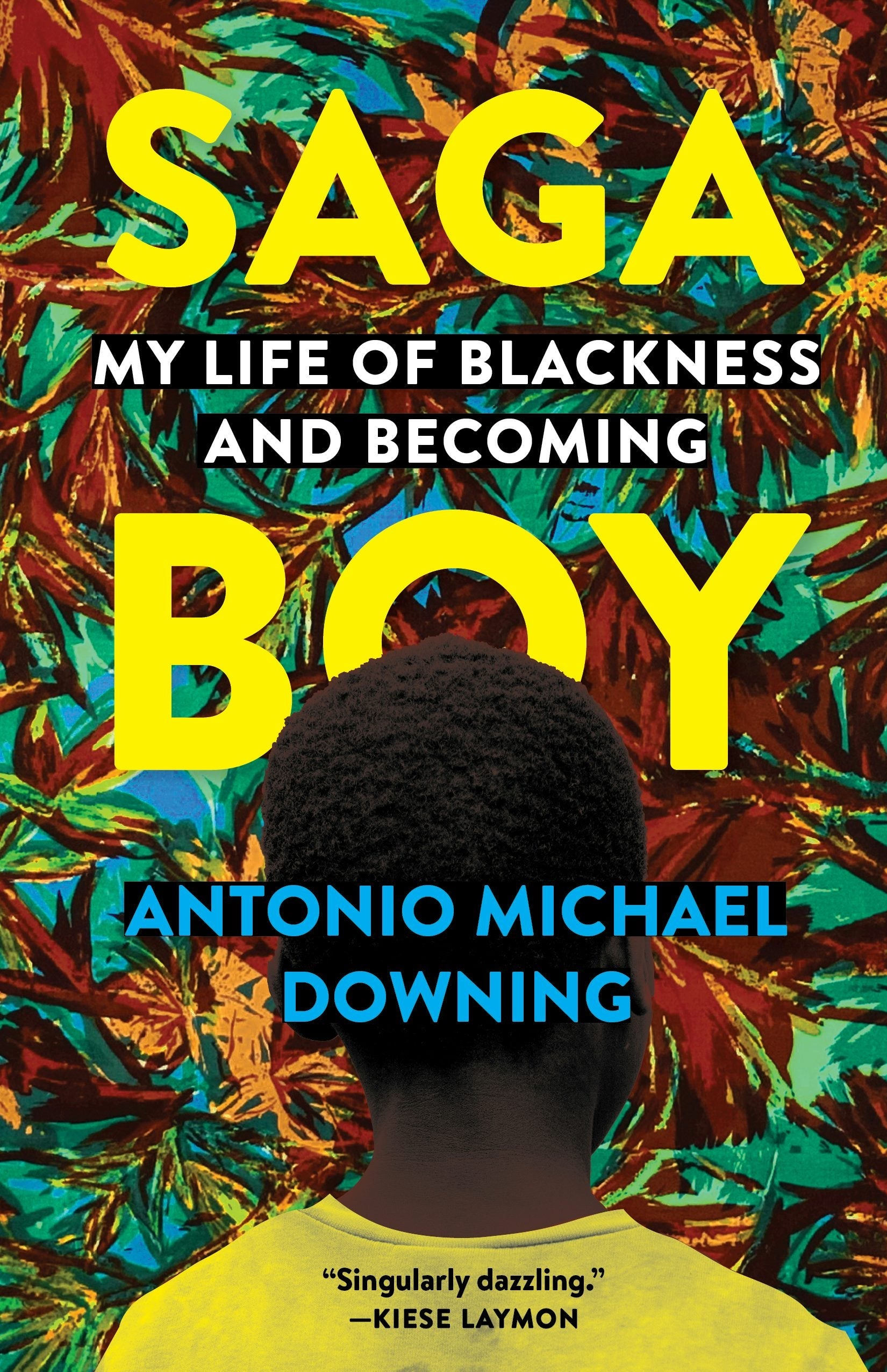 Book cover image for Saga Boy ISBN: 9781571311993