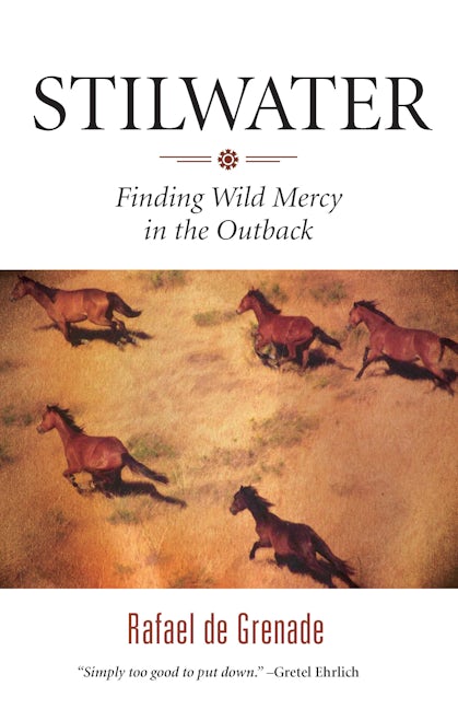 Book cover image for Stilwater ISBN: 9781571313140
