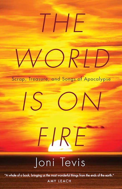 Book cover image for The World Is on Fire ISBN: 9781571313478