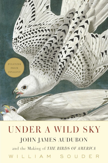 Book cover image for Under a Wild Sky ISBN: 9781571313553