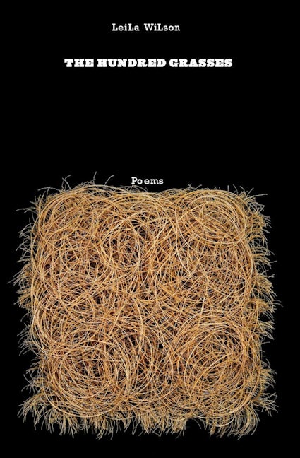 Book cover image for The Hundred Grasses ISBN: 9781571314475