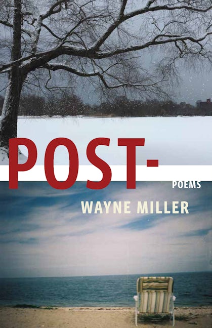 Book cover image for Post- ISBN: 9781571314703