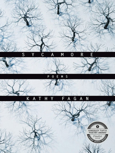 Sycamore