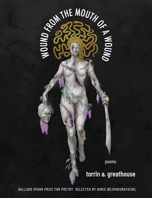 Book cover image for Wound from the Mouth of a Wound ISBN: 9781571315274