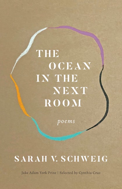 Book cover image for The Ocean in the Next Room ISBN: 9781571315632