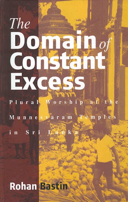 Book cover image for The Domain of Constant Excess ISBN: 9781571812520