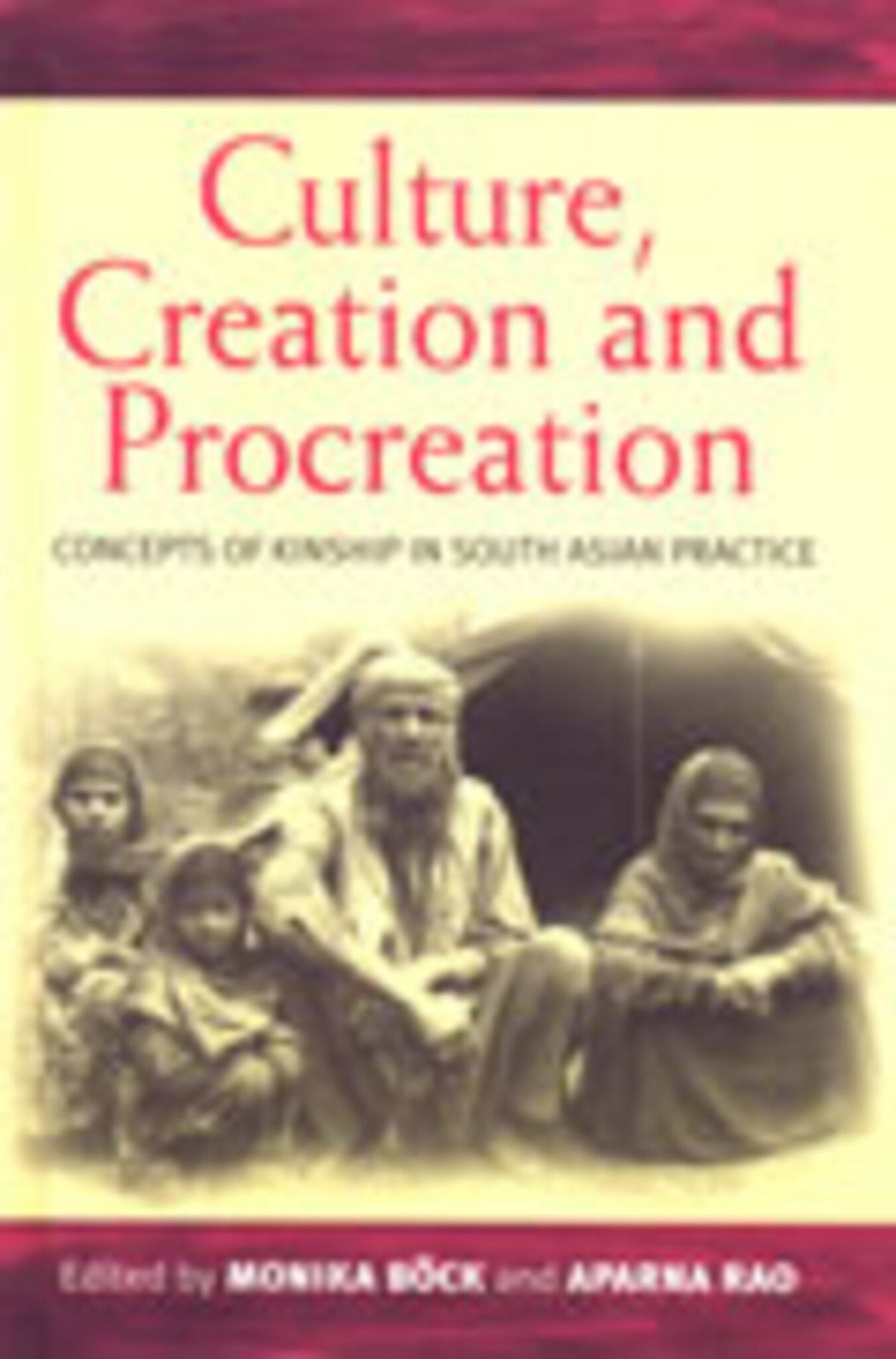 Cover image for Culture, Creation, and Procreation ISBN 9781571819116