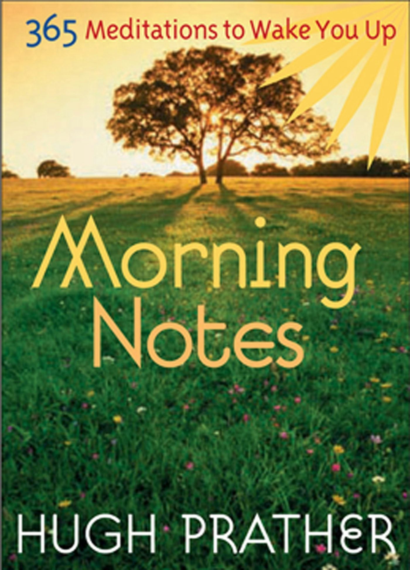 Book cover image for Morning Notes ISBN: 9781573242547
