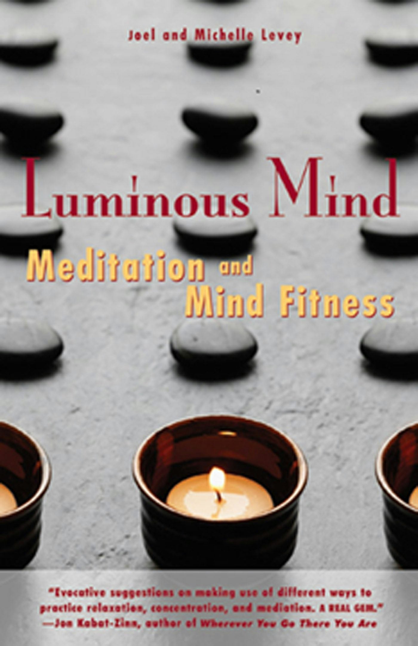 Book cover image for Luminous Mind ISBN: 9781573242967