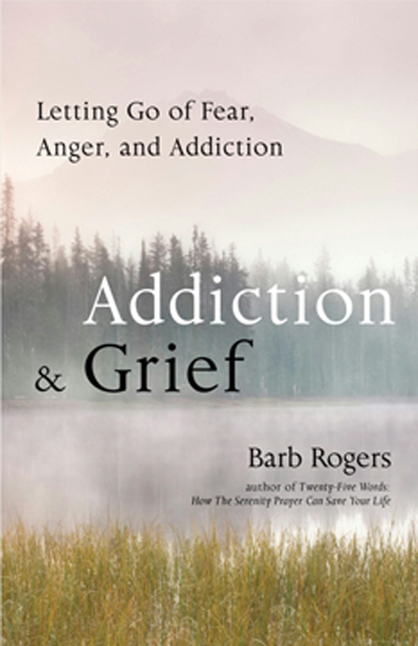 Book cover image for Addiction & Grief ISBN: 9781573245166