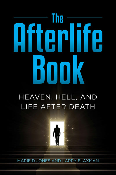 Cover image for The Afterlife Book, isbn: 9781578598229