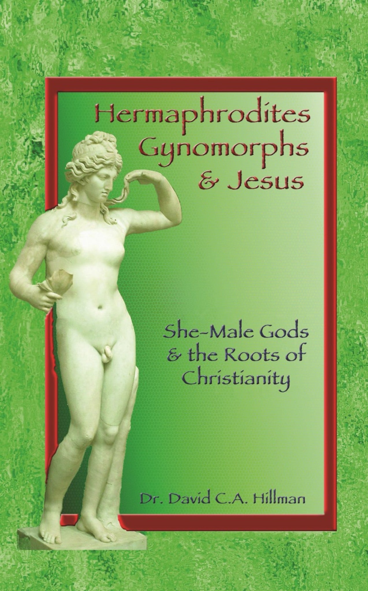 Cover image for Hermaphrodites, Gynomorphs and Jesus ISBN 9781579511715