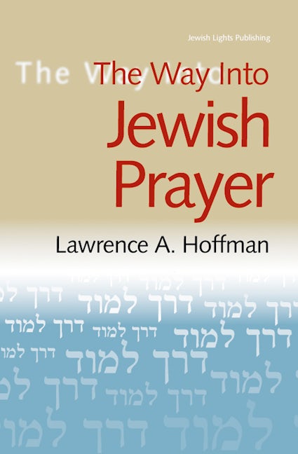 Book cover image for The Way Into Jewish Prayer ISBN: 9781580232012