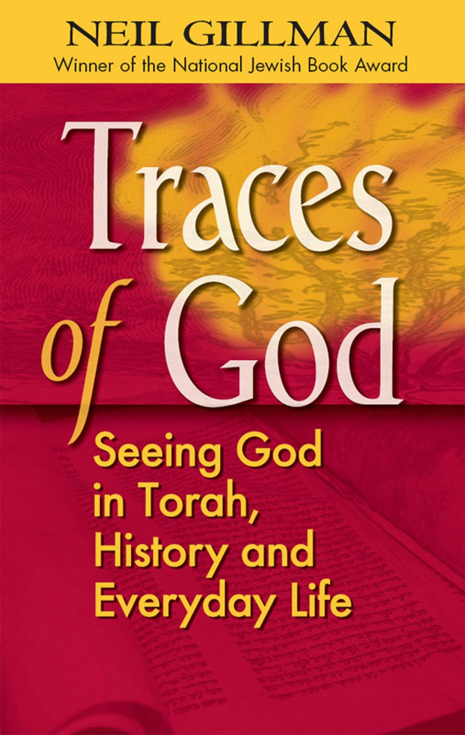 Book cover image for Traces of God ISBN: 9781580232494