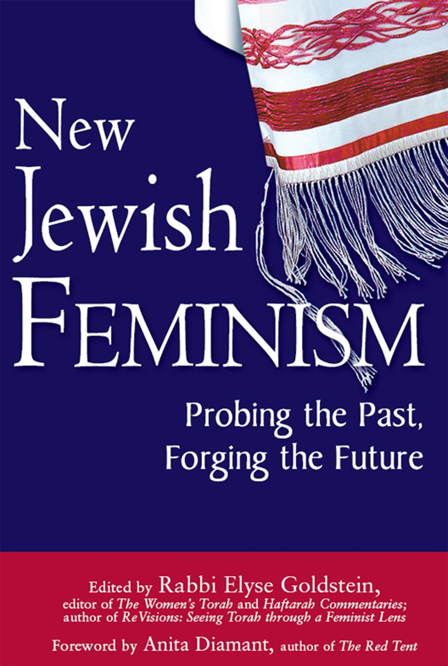 Book cover image for New Jewish Feminism ISBN: 9781580233590