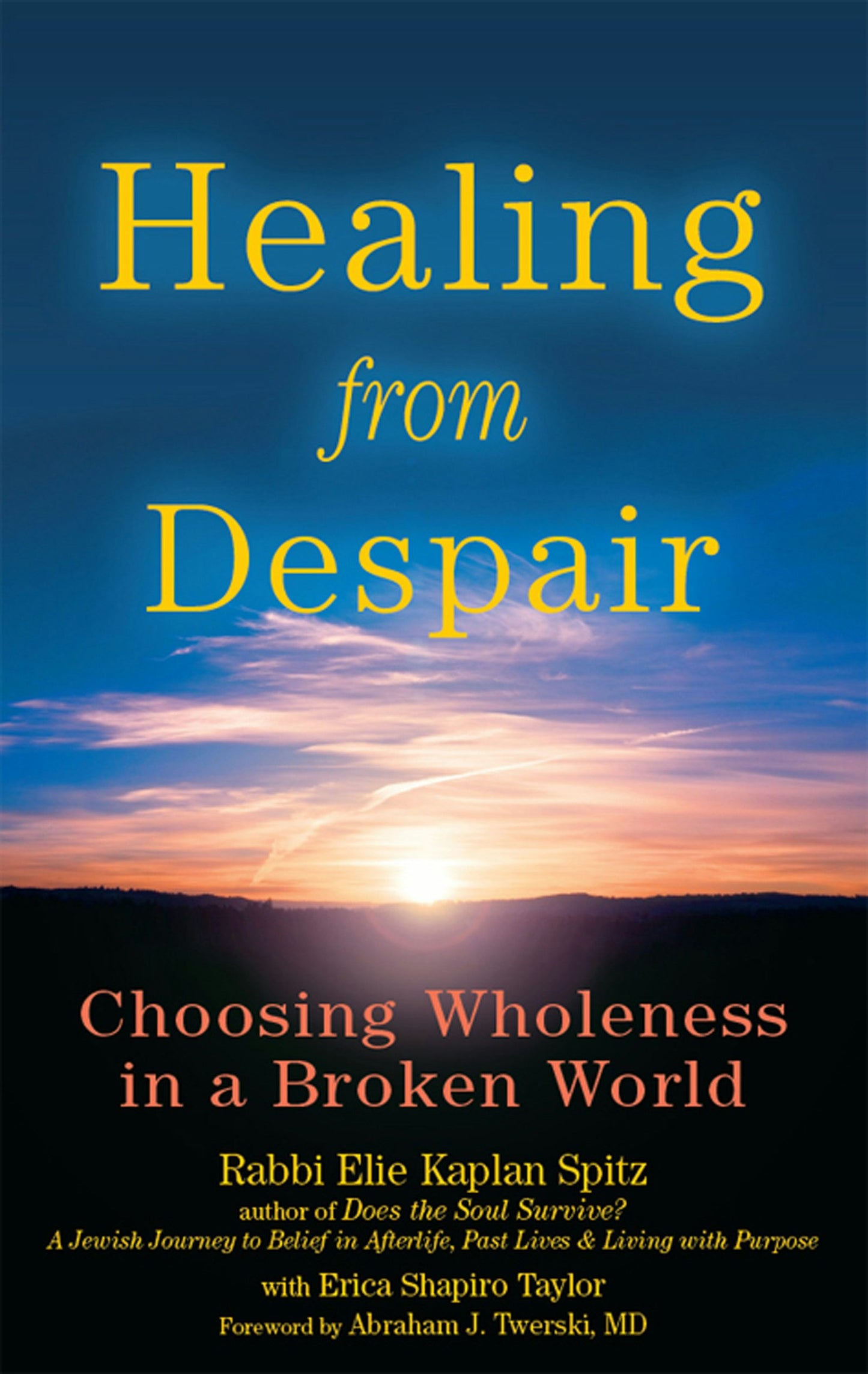 Book cover image for Healing from Despair ISBN: 9781580234368