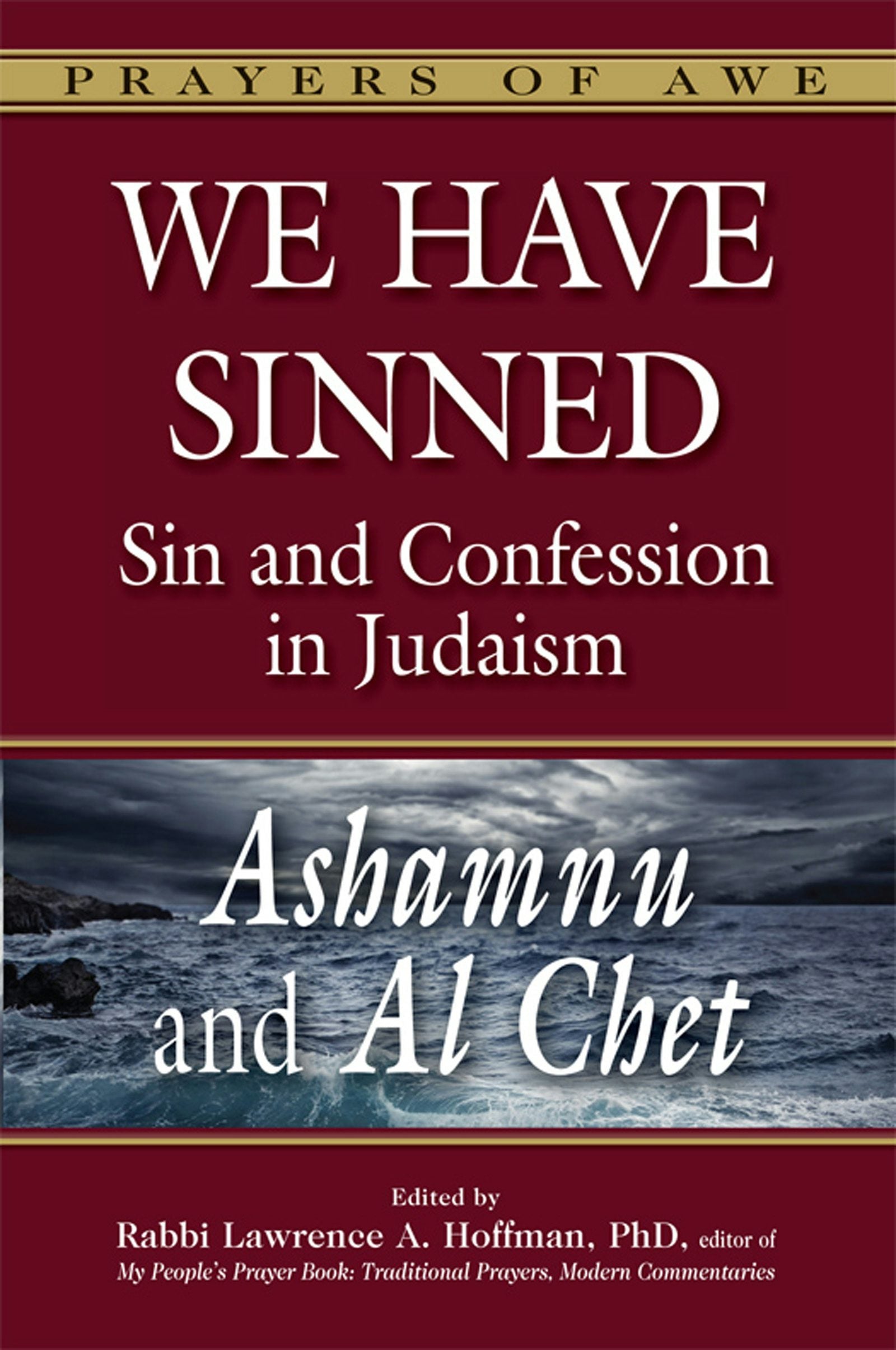 Book cover image for We Have Sinned ISBN: 9781580236126