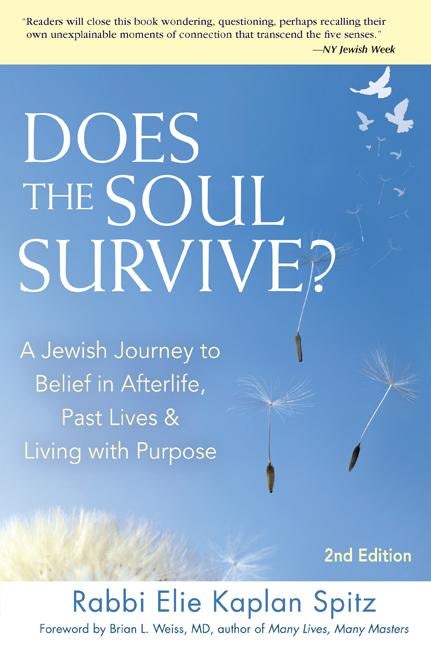 Book cover image for Does the Soul Survive? (2nd Edition) ISBN: 9781580238182