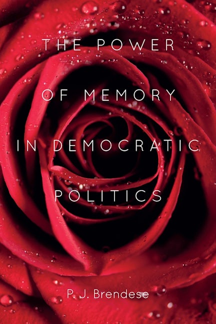 Book cover image for The Power of Memory in Democratic Politics ISBN: 9781580464239