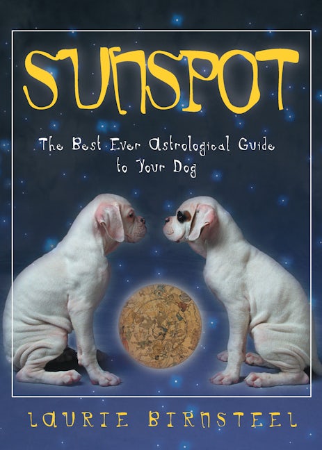 Book cover image for Sunspot ISBN: 9781581822649