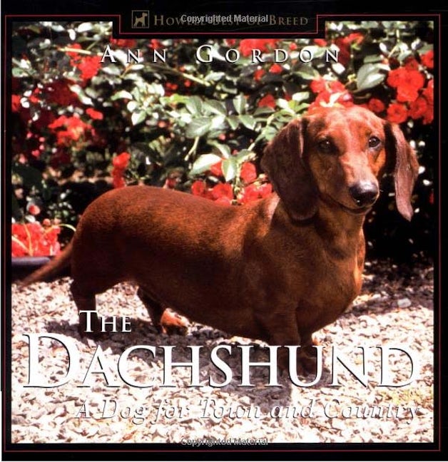 Book cover image for The Dachshund ISBN: 9781582451589