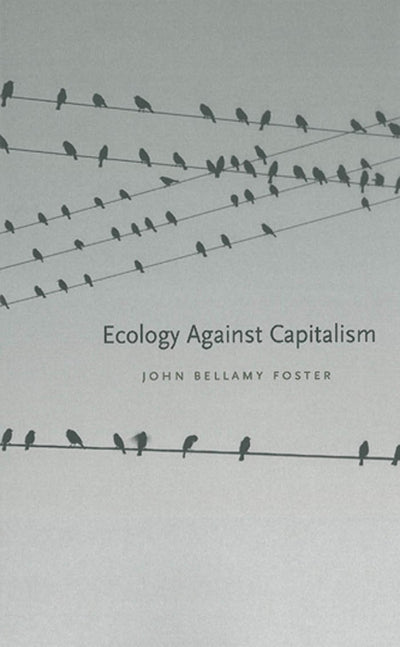 Cover image for Ecology Against Capitalism, isbn: 9781583675083